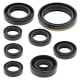 Winderosa (Vertex), sada gufer motoru, Yamaha YZF250 01-13, WR250F 01-13
