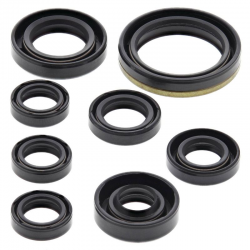 Winderosa (Vertex), sada gufer motoru, Yamaha YZF250 01-13, WR250F 01-13