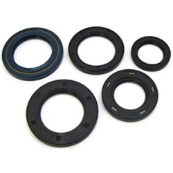 Winderosa (Vertex), sada gufer motoru, Honda CRF450R 02-06