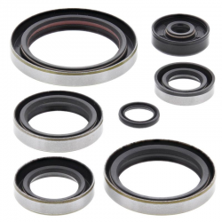 Winderosa (Vertex), sada gufer motoru, KTM EXC 250 00-03, MXC 250 00-01, SX 250 00-02, SXS 250 01