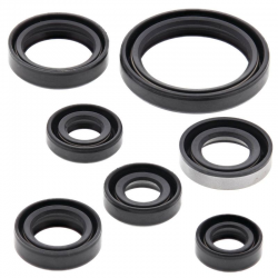 Winderosa (Vertex), sada gufer motoru, , Suzuki DRZ 400 E/K/S/SM '00-'14