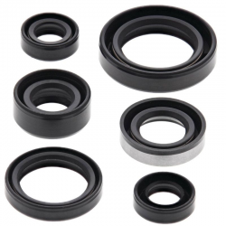 Winderosa (Vertex), sada gufer motoru, Suzuki DR 350S '90-'99