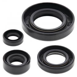 Winderosa (Vertex), sada gufer motoru, Suzuki DR650SE 96-17