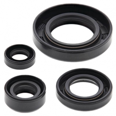 Winderosa (Vertex), sada gufer motoru, Suzuki DR650SE 96-17