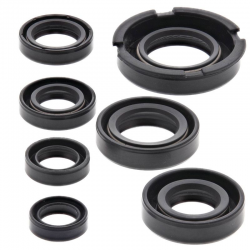 Winderosa (Vertex), sada gufer motoru, Honda XR250L 91-96, XR250R 86-95