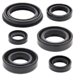 Winderosa (Vertex), sada gufer motoru, Honda XR250R 96-04
