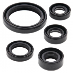 Winderosa (Vertex), sada gufer motoru, Kawasaki KLX125 03-06, KLX125L 03-06, Suzuki DR125 86-88, DR125SE