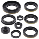 Winderosa (Vertex), sada gufer motoru, Suzuki RM250 03-05