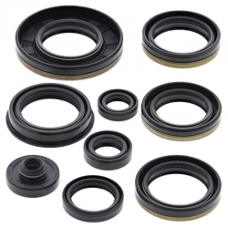 Winderosa (Vertex), sada gufer motoru, Suzuki RM250 03-05
