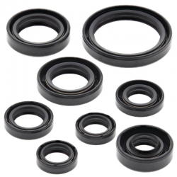 Winderosa (Vertex), sada gufer motoru, Yamaha WR450F 03-14, YZF450 03-13