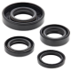 Winderosa (Vertex), sada gufer motoru, KTM MINI ADV 50 02-07, SR ADV 50 02-07