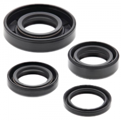 Winderosa (Vertex), sada gufer motoru, KTM MINI ADV 50 02-07, SR ADV 50 02-07