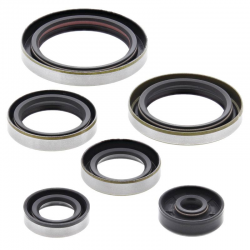 Winderosa (Vertex), sada gufer motoru, KTM SX250 03-16, EXC250 04-16, EXC300 04-16
