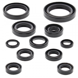 Winderosa (Vertex), sada gufer motoru, Honda CR125R 05-07
