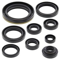 Winderosa (Vertex), sada gufer motoru, Suzuki RMX250 89-94