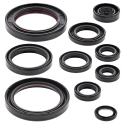 Winderosa (Vertex), sada gufer motoru, Honda CRF450R 07-08