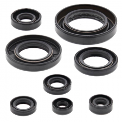 Winderosa (Vertex), sada gufer motoru, Honda TRX420 FA IRS 09-19, TRX420 FA 17-19, TRX420 FPA IRS 09-14,
