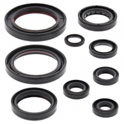 Winderosa (Vertex), sada gufer motoru, Honda CRF250R 10-17