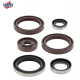 Winderosa (Vertex), sada gufer motoru, KTM EXC 500 12-16, EXC 500 SIX DAYS 16, SX-F 450 13-15, Husqvarna