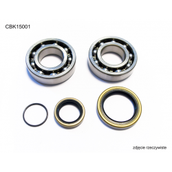 Bearing Worx, ložiska + gufera klikovky, Beta 2T 250/270/290/300 ALL, 250/300 RR '13-17 (NTN) (23.CBS73013)