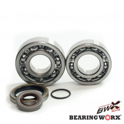 Bearing Worx, ložiska a gufera klikovky, Gas Gas EC 200/250/300 '10- (MADE IN JAPAN) (NTN)