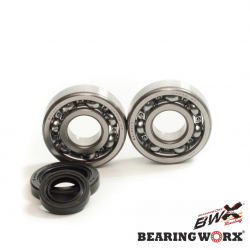 Bearing Worx, ložiska + gufera klikovky, Honda CR 125 79-07 (MADE IN JAPAN) (NTN) (24-1003) CBK30010