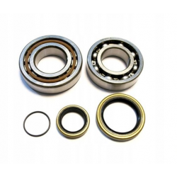 Bearing Worx, ložiska + gufera klikovky, Honda CR 250 '84-'91, CR 500 '84-01 (NTN) (24-1004)