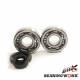 Bearing Worx, ložiska a gufera klikovky, Honda CR 125 79-07 (MADE IN JAPAN) (NTN) (24-1003) CBK30002