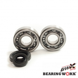 Bearing Worx, ložiska a gufera klikovky, Honda CR 125 79-07 (MADE IN JAPAN) (NTN) (24-1003) CBK30002