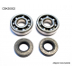 Bearing Worx, ložiska klikovky, Kawasaki KX 65/80/85, Suzuki RM 60/65 (NTN) (24-1006)