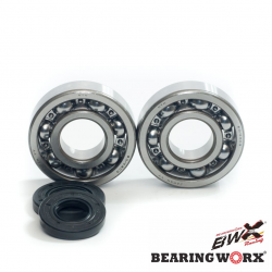 Bearing Worx, ložiska + gufera klikovky, Kawasaki KX 250 87-01 (MADE IN JAPAN) (NTN) (24-1010)