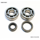 Bearing Worx, ložiska + gufera klikovky, Suzuki RM 80/85 89-16 (NTN) (24-1014)
