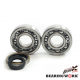 Bearing Worx, ložiska a gufera klikovky, Suzuki RM 250 96-02 (MADE IN JAPAN) (NTN) (24-1021)
