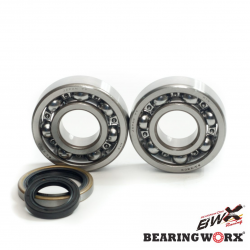 Bearing Worx, ložiska a gufera klikovky, Suzuki RM 250 96-02 (MADE IN JAPAN) (NTN) (24-1021)