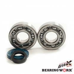 Bearing Worx, ložiska + gufera klikovky, Suzuki RM250 03-04 (MADE IN JAPAN) (NTN) (24-1046)