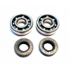 Bearing Worx, ložiska klikovky, Sherco SEF 250R '15-'18, SEF 300R '15-'18