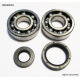 Bearing Worx, ložiska + gufera klikovky, Yamaha YZ 250 88-97 (NTN) (24-1027)