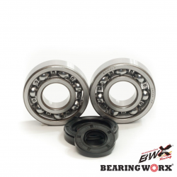 Bearing Worx, ložiska a gufera klikovky, Yamaha YZ 250 01-18 (MADE IN JAPAN) (NTN) (24-1029)
