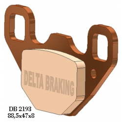 Delta Braking, brzdové desky KH489 Polaris RZR 170 '09-'14, zadní