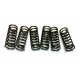 EBS, spojkové pružiny Yamaha WRF 450 16-17, YZF 450 08-09, MT-07 700 14-17, TRACER 700 16-20 XSR 700 16-20, YFM 700 RAPTOR
