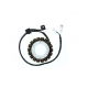 Electrosport, stator alternátoru, Suzuki VL1500 INTRUDER '05-'09