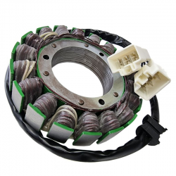 Electrosport, stator alternátoru, Kawasaki VN1700