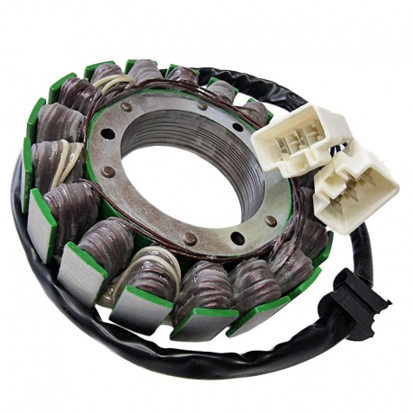 Electrosport, stator alternátoru, Kawasaki VN1700