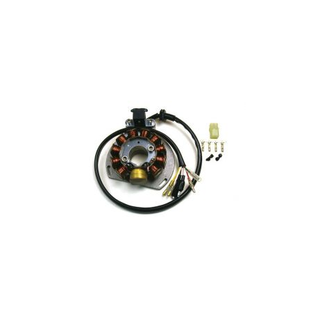 Electrex, stator alternátoru, KTM EXC 125/200/300