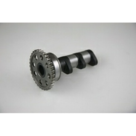Hot Cams, vačková hřídel, Yamaha YZF 450 06-09, WRF 450 03-15, YFZ 450 04-09 sací