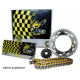 Regina, řetězová sada, Honda CB 600 HORNET 07-16, cbr 600f (11-13) (16/43/118/525ZRP) řetěz do 1300 ccm, zlatý (Z-RING)