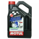 Motul, SNOWPOWER 2T AS 4L