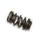 Nachman, pružina výfukového ventilu, Honda CRF 450X '05-'16, TRX 450R '06-'09, 450ER '07-'14 (PSYCHIC) (XU-09537ES)