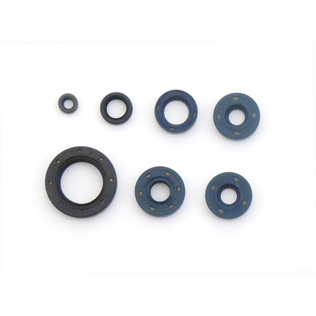 Athena, sada gufer motoru, BMW F650 GS '99-'08, F650/ST '93-'98, F650 CS, G650 GS/X, BOMBARDIER DS 650 '0