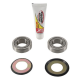 Pivot Works, ložiska řízení, Honda CR 80R '87-02,CR 85 '03-07,CRF 150F '03-07, CRF 230F '03-09,XR 250R '85-04,XR400R